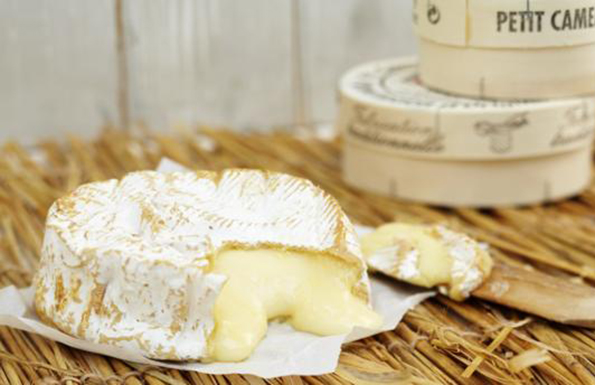camembert康門貝爾