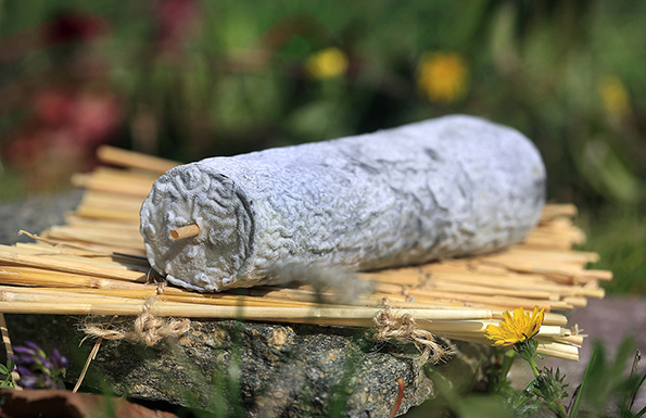 聖莫爾Saint-Maure de Touraine